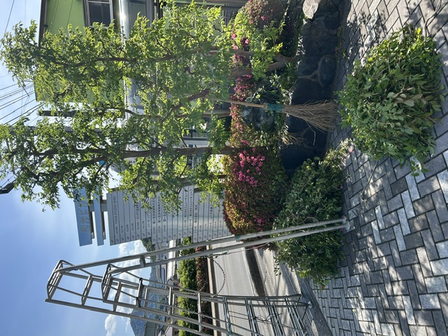 IMG_6838.jpeg