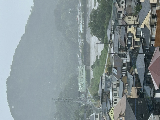 IMG_6917.jpeg